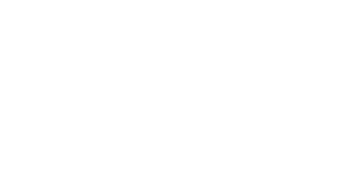 Vive Ligero